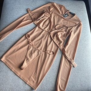 Sheer Dress and undergarments